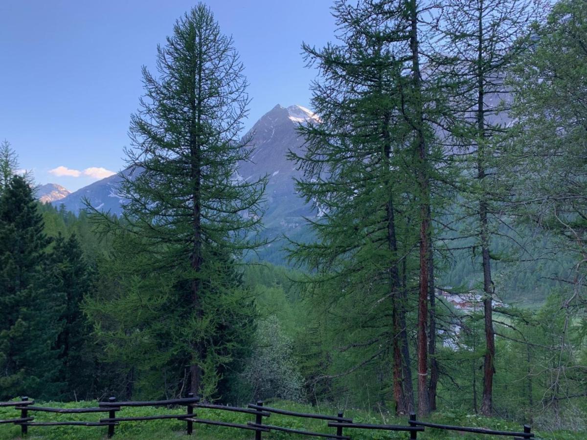 Casa Camas, Wide 2Bedroom, Feel The Mountain Breuil-Cervinia Luaran gambar